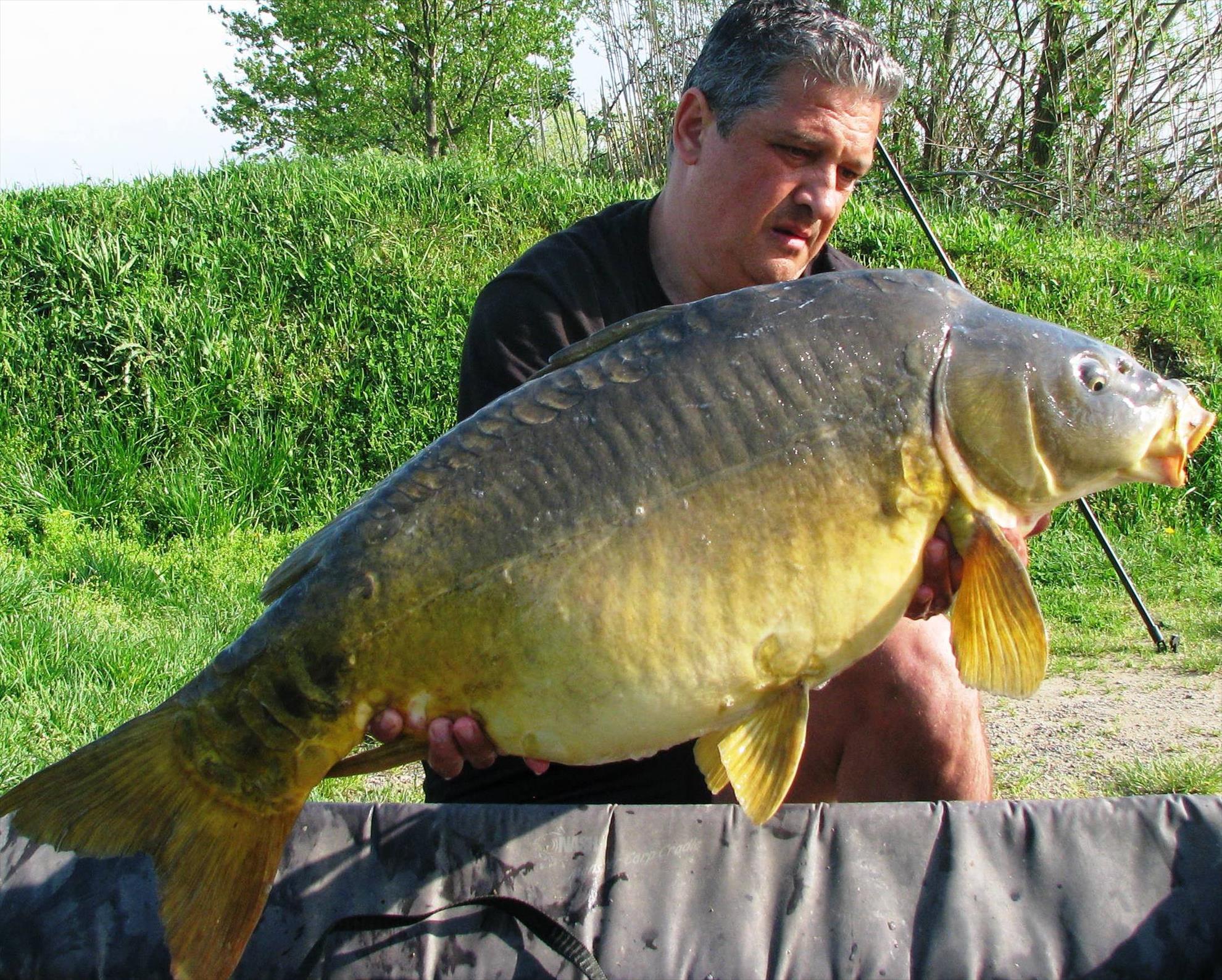 Pelagicevo Jezero  aprilie 2015 - img2077.JPG